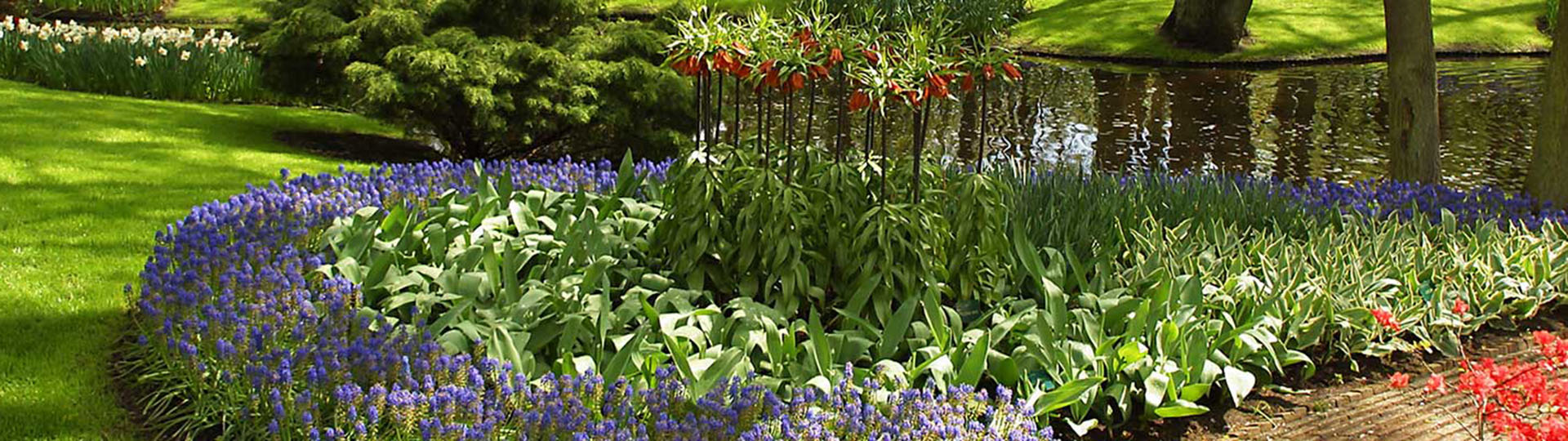 Smithtown Tree & Lawn Spraying